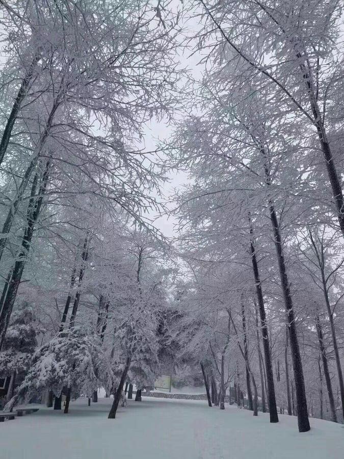 Villa Mogan Mountain Xiaomusensen Deqing Exterior foto